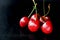 Five ripe berries of a sweet cherry on a dark background