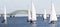 Five sailboats heading toward the Great South Bay bridge in winter