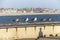 Five sea gulls sitting together at venice beach