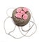 Five small paper roses on a skein of rope jute