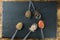Five spices in spoons top view on the background of slate and wood