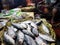 Five-spot Herring, Hilsa Kelee shad Tenualosa ilisha fishes on ice for sale in fish market with silvery scale