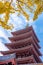 Five-storeyed pagoda and yellow ginkgo biloba leaves at Senso-ji Temple