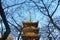 Five-story pagoda at Ueno Toshogu shrine in evening .Tokyo, Japan.