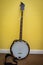 Five String Banjo