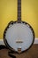 Five String Banjo