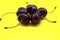 Five sweet cherries on yellow background, close-up