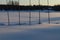Five tall wooden poles in winter landscape