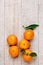 Five tangerines with leaves