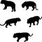 Five tiger silhouettes