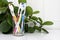 Five toothbrushes in a glass cup on the dressing table against a backdrop of green foliage