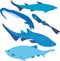 Five types of blue vector sharks