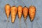 Five ugly carrots on a concrete background.