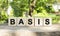 Five wooden blocks lie on a wooden table against the backdrop of a summer garden and create the word BASIS.