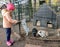Five year old girl plays with a rabbit in the aviary
