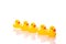 Five yellow rubber ducks lined up isolated on white background. Conformism