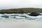 Fjallsarlon glacier lagoon at the end of Vatnajokull glacier. Green moss and volcanic ash in the background.