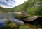 Fjord boat scenic