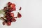 Flabby red tulips on a white background