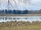 Flach lake or Flachsee in the natural protection zone Aargau Reuss river plain Naturschutzzone Aargauische Auen in der Reussebene