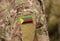 Flag of Azawad on soldiers arm. Flag of State of Azawad on military uniforms (collage).