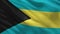 Flag of Bahamas - seamless loop