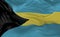 Flag of the Bahamas waving in the wind 3d render