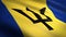 Flag of Barbados. Realistic waving flag 3D render illustration with highly detailed fabric texture