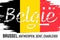 Flag of Belgium, banner with grunge brush. Brussels, Antwerp, Ghent, Charleroi