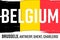 Flag of Belgium, banner with grunge brush. Brussels, Antwerp, Ghent, Charleroi