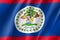 Flag Belize realistic icon