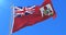 Flag of Bermuda waving at wind in slow, loop