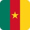 Flag Cameroon Africa illustration vector eps