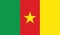 Flag of cameroon icon illustration