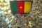 Flag of Cameroon on the laptop screen and many bitcoins. National cryptocurrency regulations and crypto mining concepts