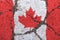 Flag of Canada on cracked pavement. The concept of crisis, default, pandemic, conflict, terrorism. Out of focus image