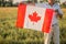 Flag of Canada, National symbol waving against, sunny day. Canada flag in senior man hand. selective focus