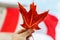 Flag of Canada. Real red maple leaf in humans hand.