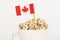 The flag of Canada sticks out of a cup with dice on which letters are depicted.