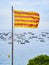 Flag of Catalonia, called Senyera isolated over a maritime background