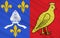Flag of Charente-Maritime, France