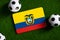 Flag of Ecuador. Football balls on a green lawn