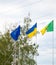 The flag of the European Union and Ukraine fluttering on the flagpole. Flags of Europe