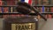 Flag of France on falling judges gavel in court. National justice or jurisdiction related conceptual 3D animation