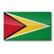 Flag of Guyana