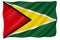 Flag of Guyana