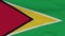 flag Guyana patriotism national freedom, seamless loop