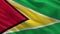 Flag of Guyana - seamless loop