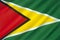 Flag of Guyana - South America