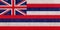 Flag of Hawaii Grunge